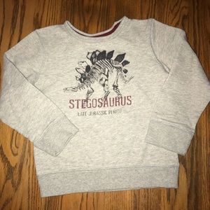 Dinosaur sweater / sweatshirt